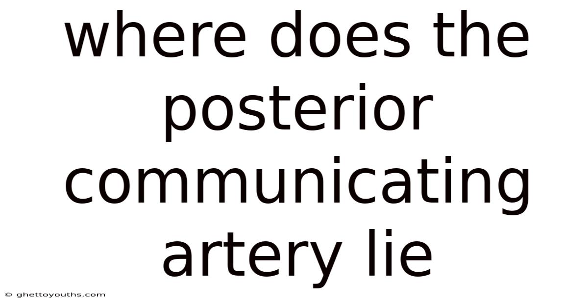 Where Does The Posterior Communicating Artery Lie