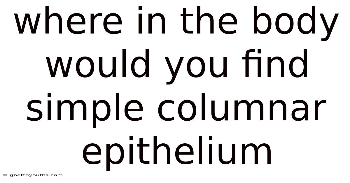 Where In The Body Would You Find Simple Columnar Epithelium