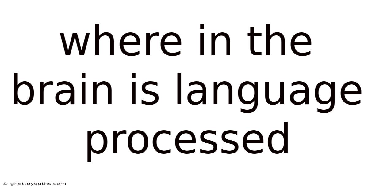 Where In The Brain Is Language Processed