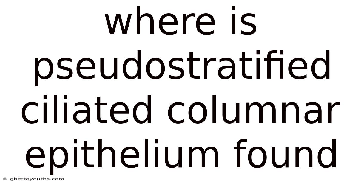 Where Is Pseudostratified Ciliated Columnar Epithelium Found