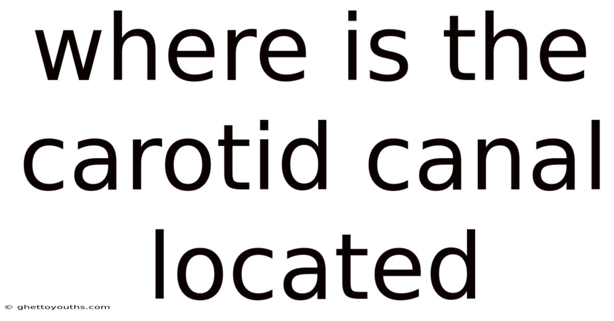 Where Is The Carotid Canal Located