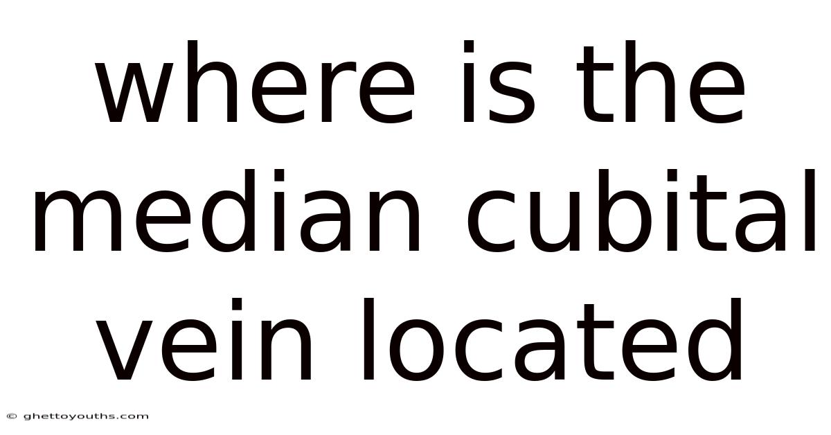 Where Is The Median Cubital Vein Located
