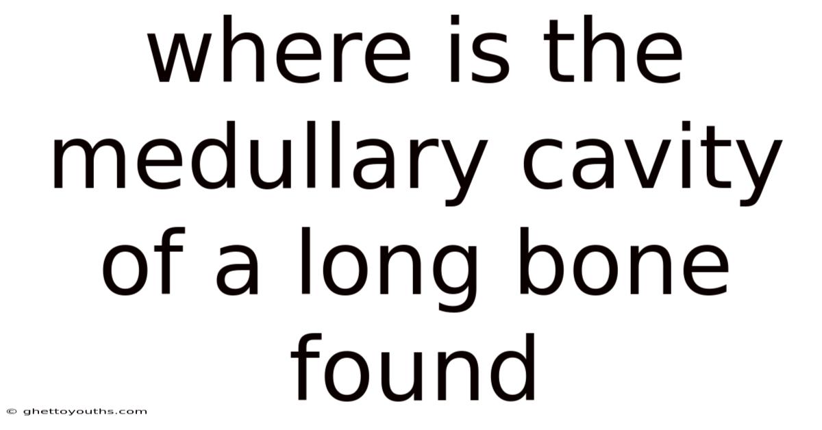 Where Is The Medullary Cavity Of A Long Bone Found