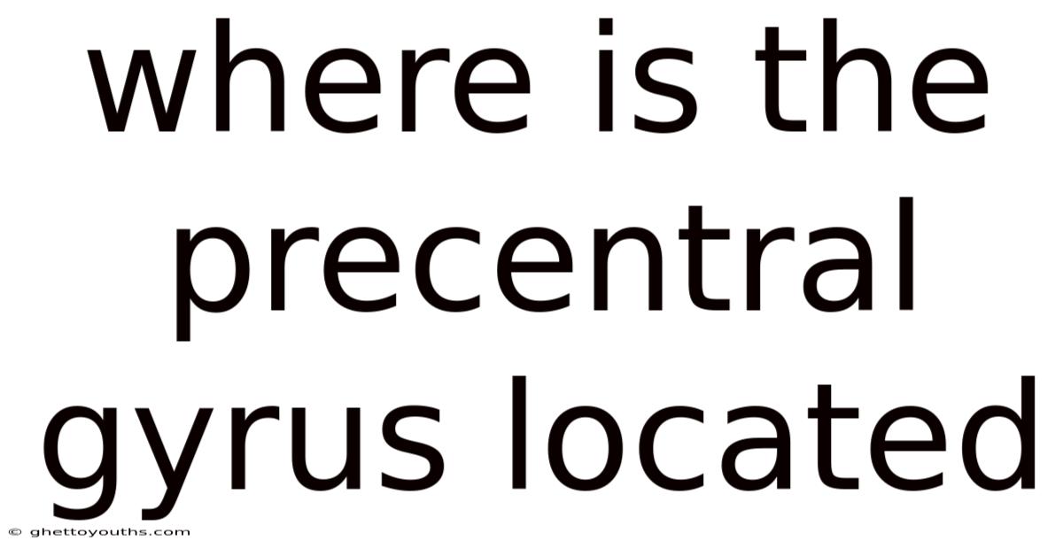 Where Is The Precentral Gyrus Located