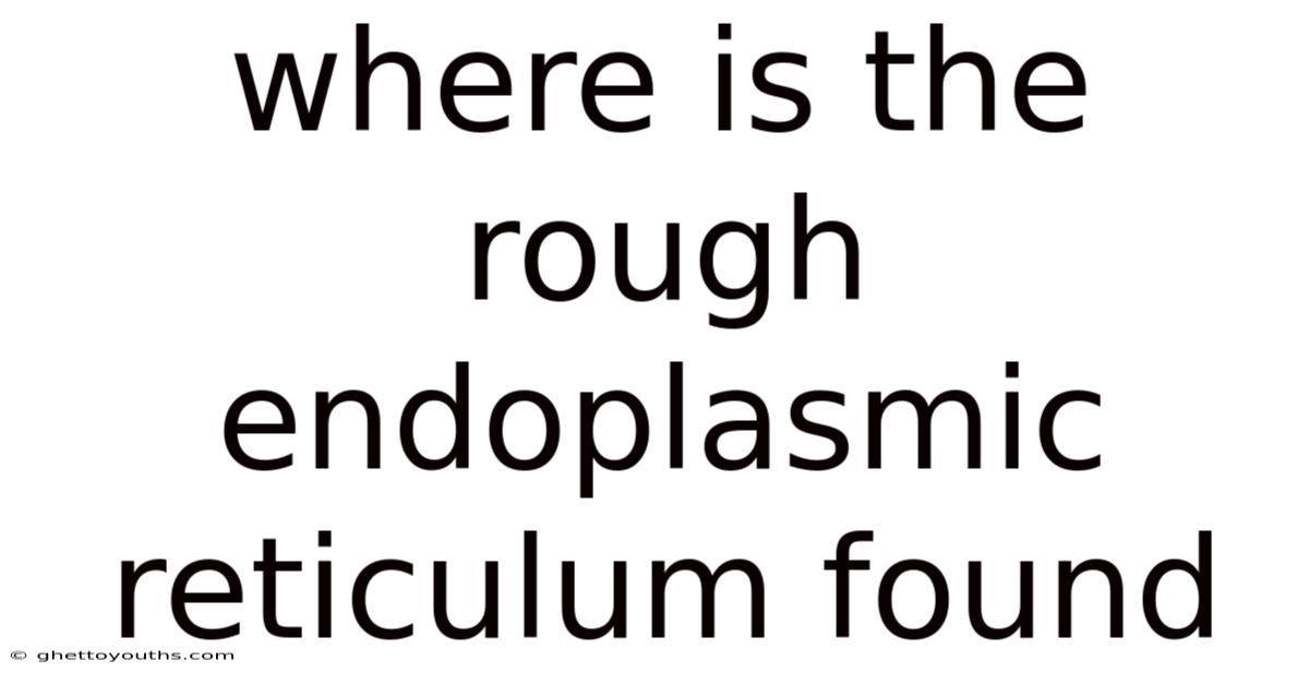 Where Is The Rough Endoplasmic Reticulum Found