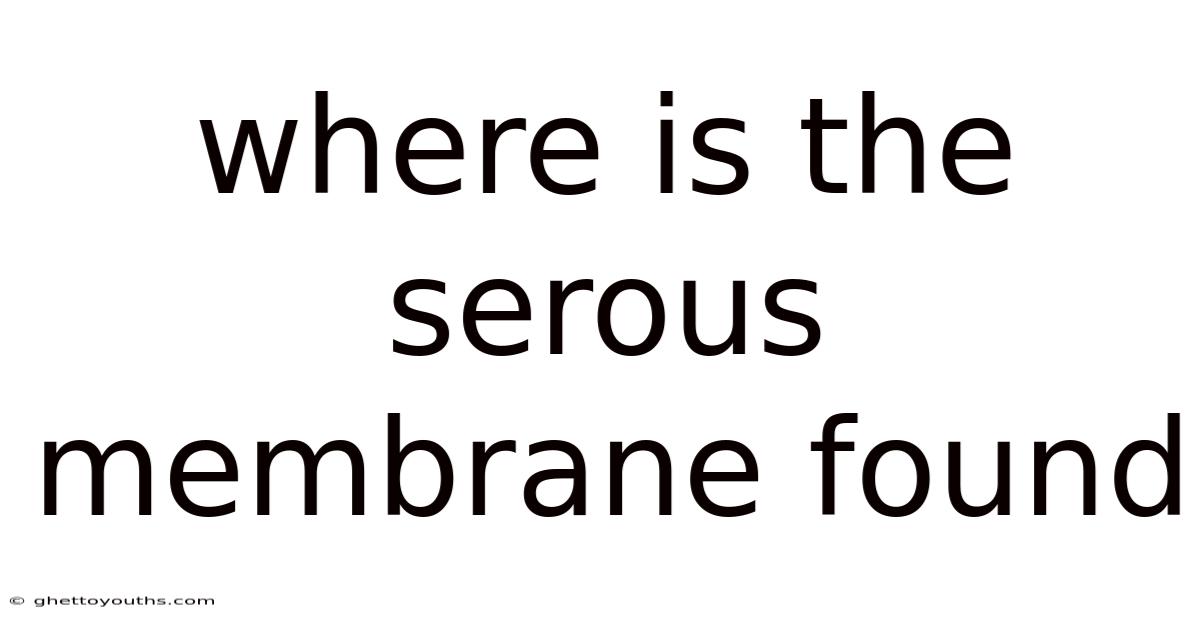 Where Is The Serous Membrane Found