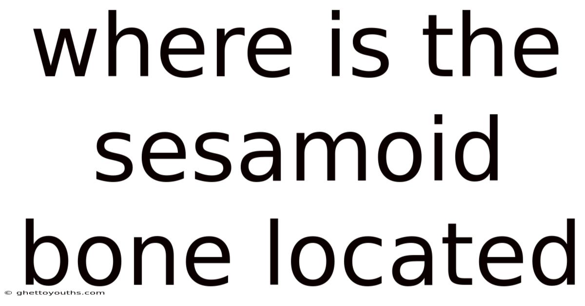 Where Is The Sesamoid Bone Located