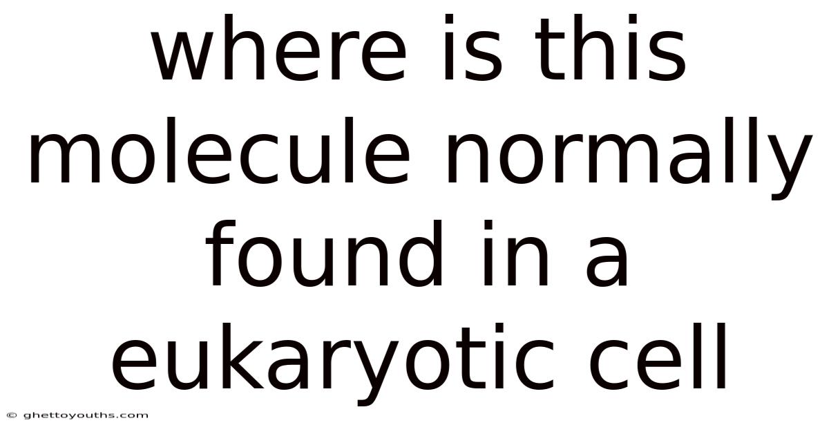 Where Is This Molecule Normally Found In A Eukaryotic Cell