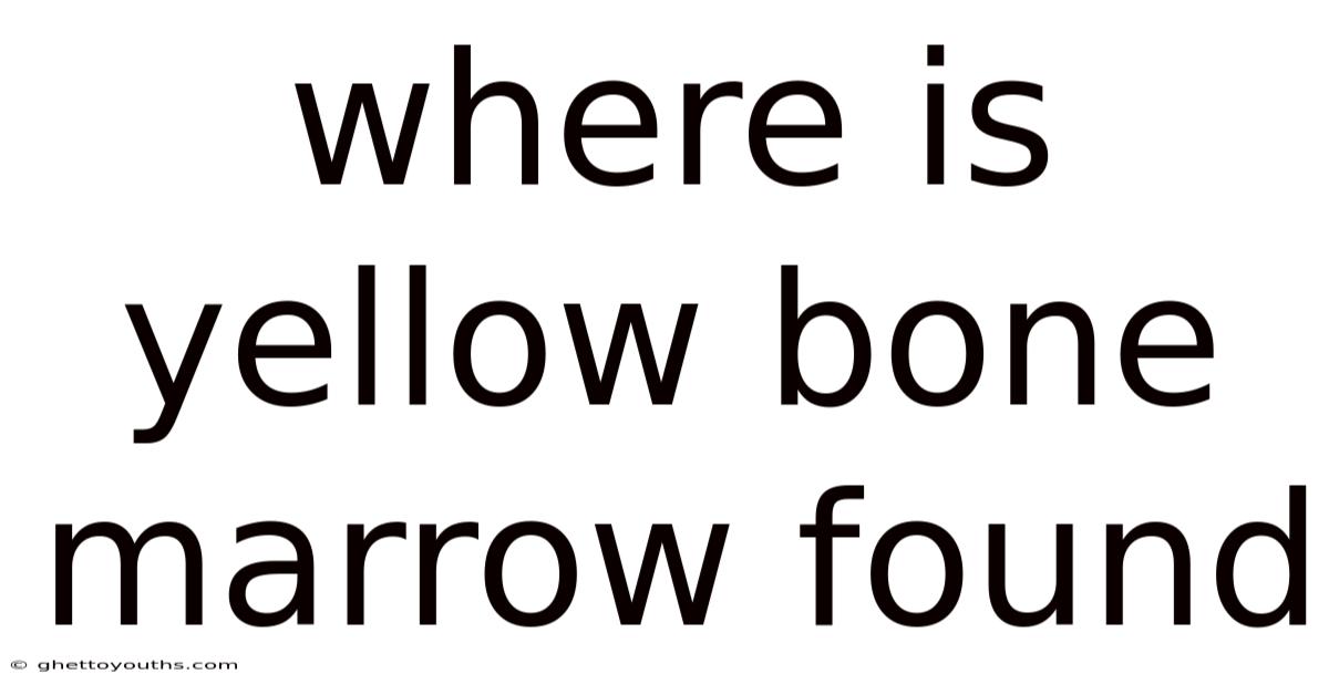 Where Is Yellow Bone Marrow Found