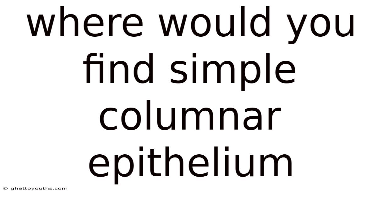 Where Would You Find Simple Columnar Epithelium