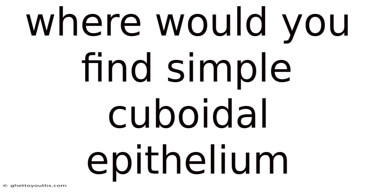 Where Would You Find Simple Cuboidal Epithelium