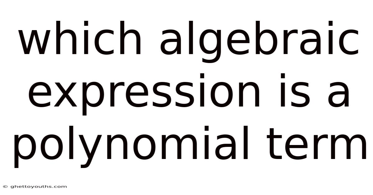 Which Algebraic Expression Is A Polynomial Term