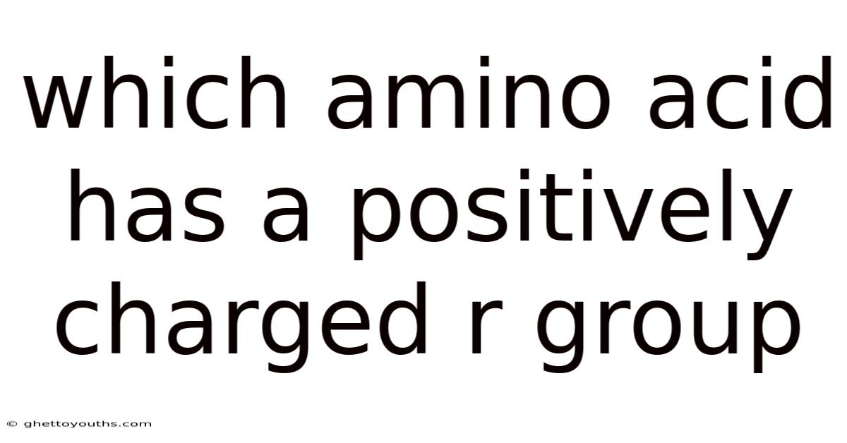 Which Amino Acid Has A Positively Charged R Group