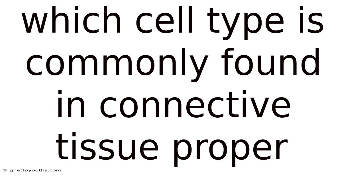 Which Cell Type Is Commonly Found In Connective Tissue Proper