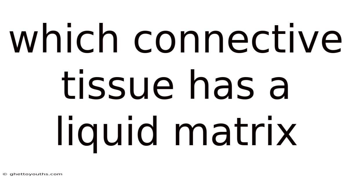 Which Connective Tissue Has A Liquid Matrix