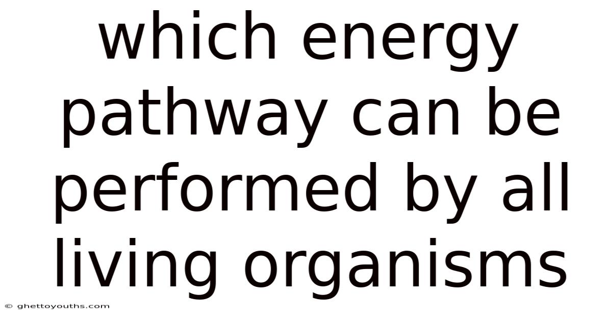 Which Energy Pathway Can Be Performed By All Living Organisms
