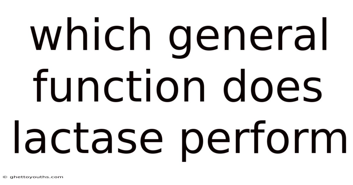 Which General Function Does Lactase Perform