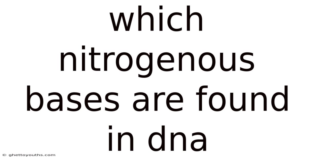 Which Nitrogenous Bases Are Found In Dna