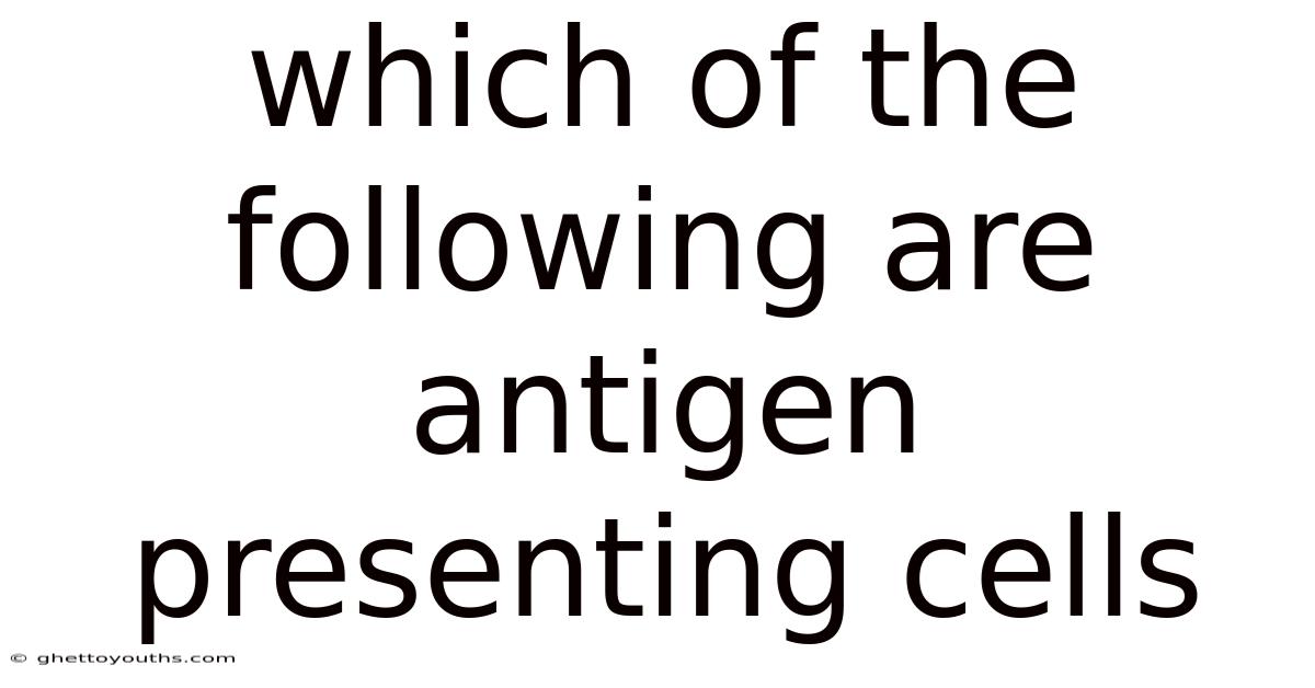 Which Of The Following Are Antigen Presenting Cells