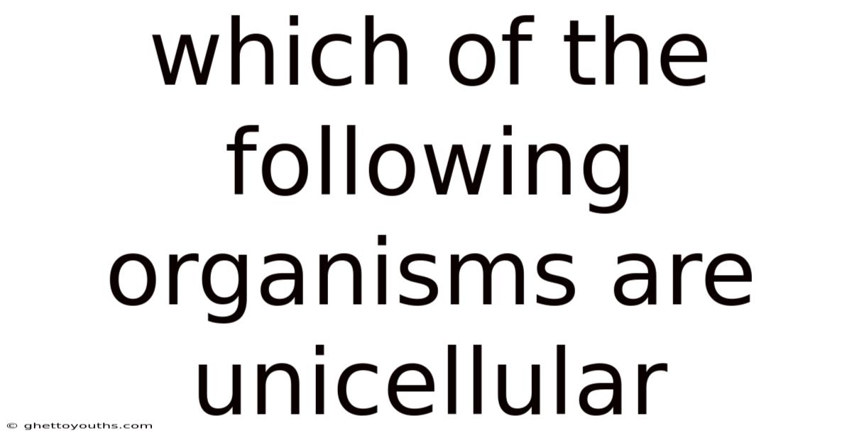 Which Of The Following Organisms Are Unicellular