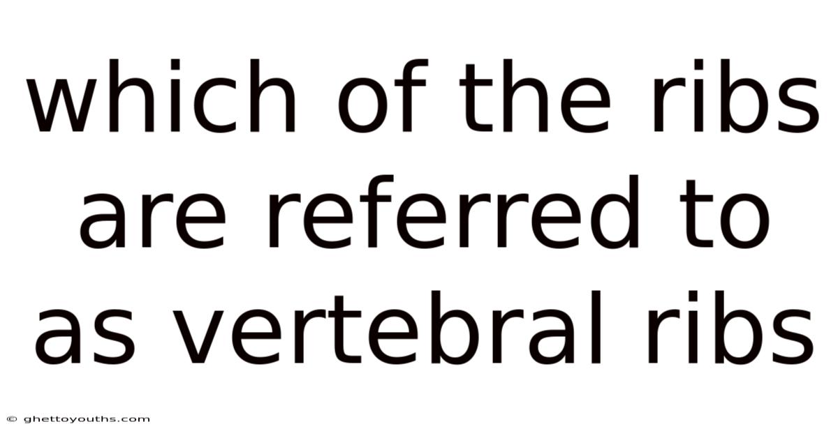 Which Of The Ribs Are Referred To As Vertebral Ribs
