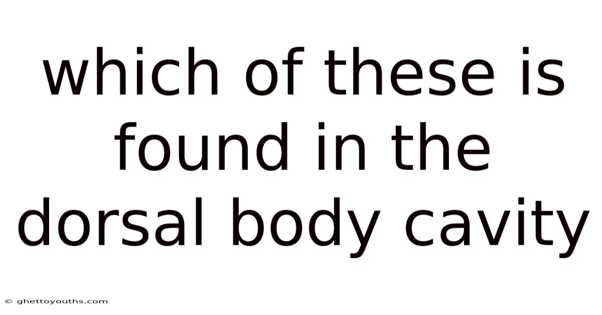 Which Of These Is Found In The Dorsal Body Cavity