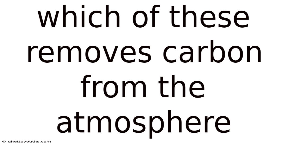 Which Of These Removes Carbon From The Atmosphere