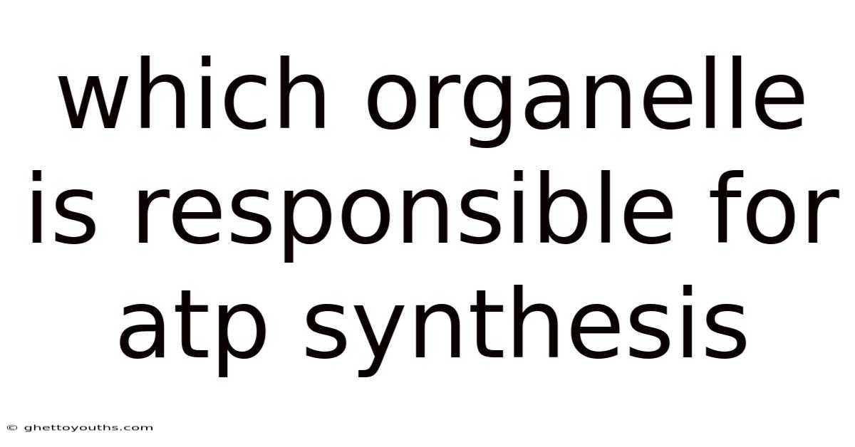 Which Organelle Is Responsible For Atp Synthesis