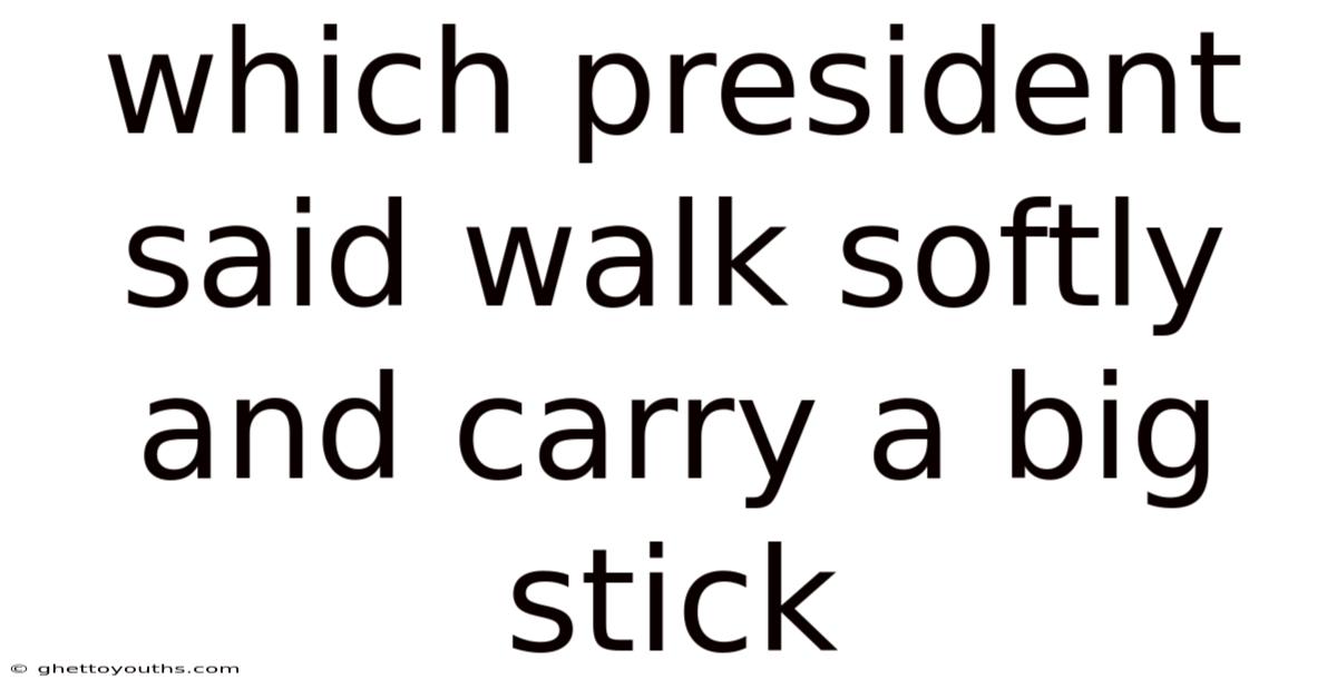 Which President Said Walk Softly And Carry A Big Stick