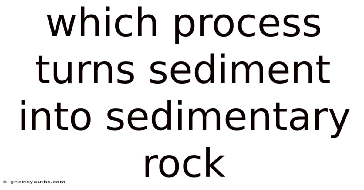 Which Process Turns Sediment Into Sedimentary Rock