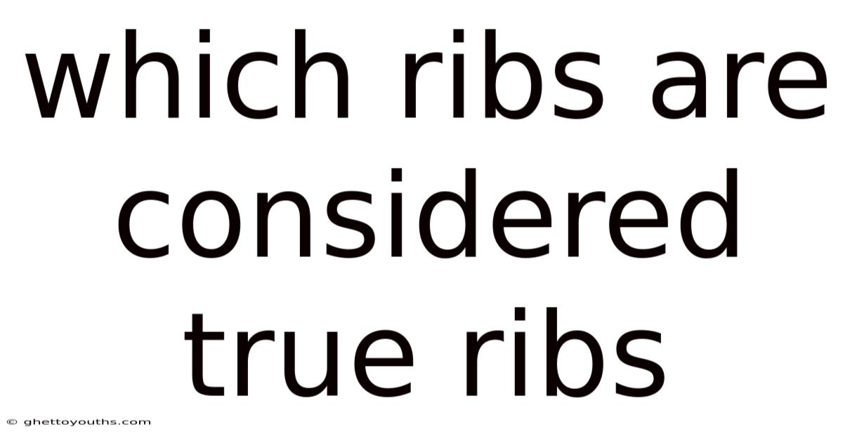 Which Ribs Are Considered True Ribs