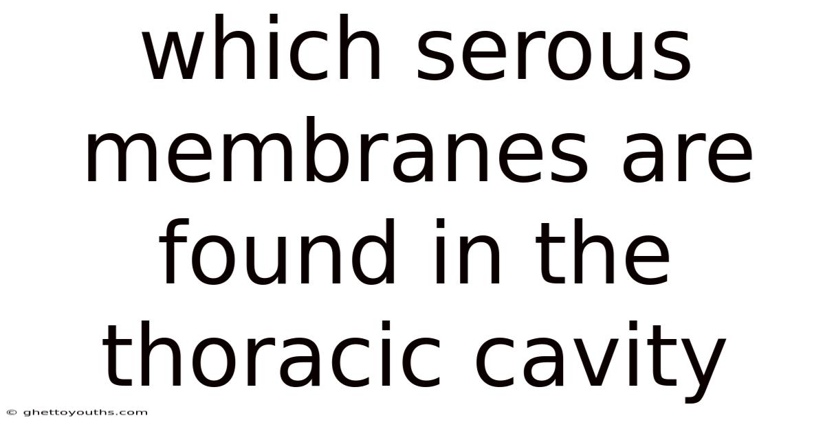 Which Serous Membranes Are Found In The Thoracic Cavity