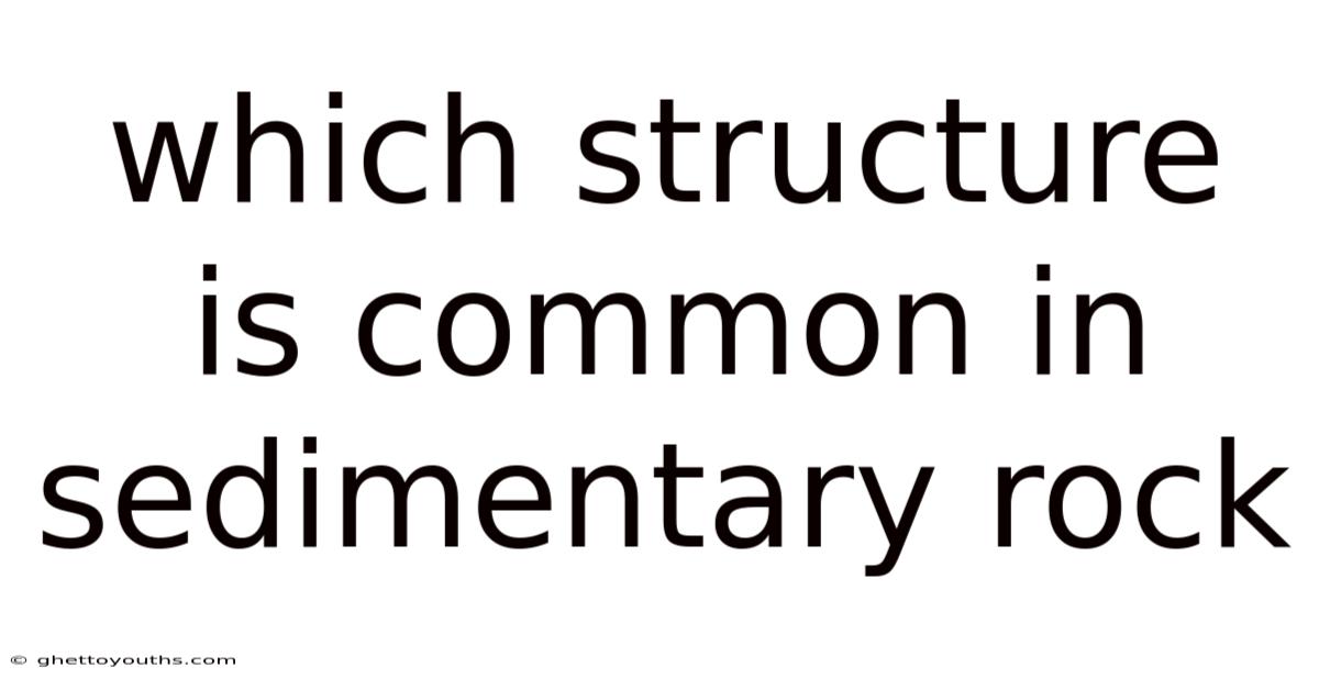 Which Structure Is Common In Sedimentary Rock