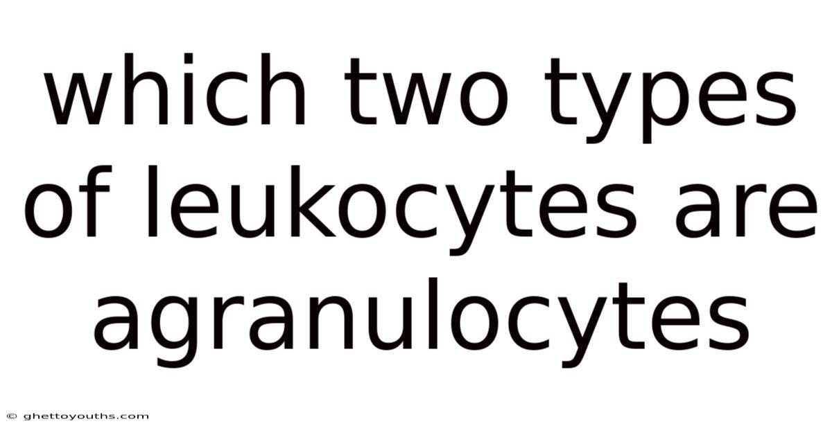 Which Two Types Of Leukocytes Are Agranulocytes