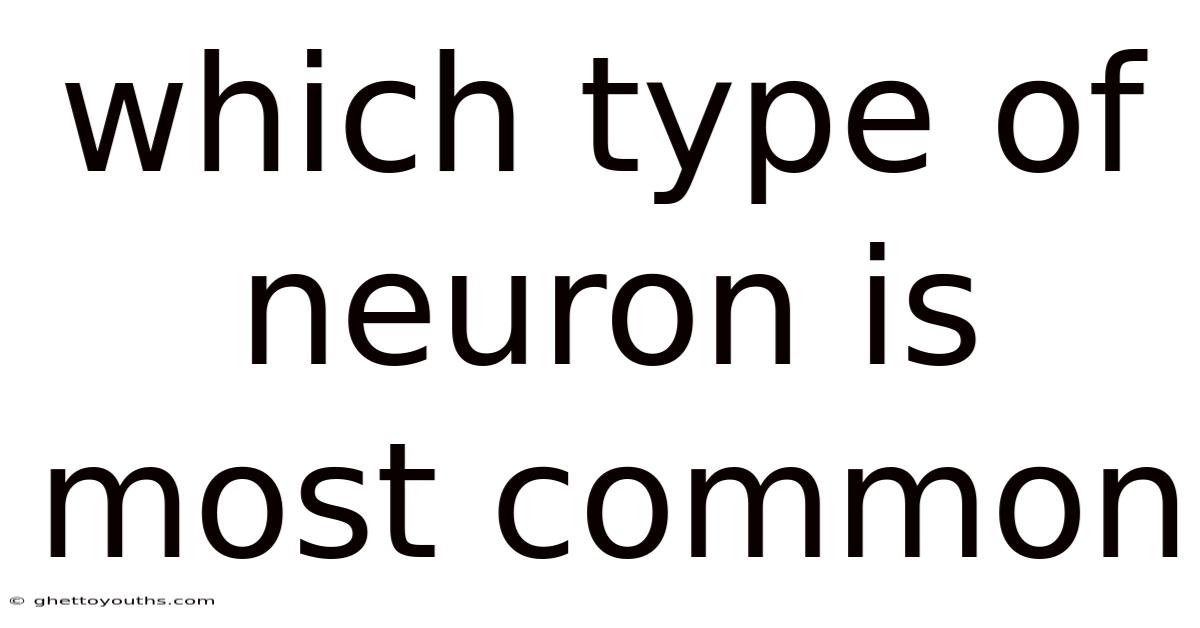 Which Type Of Neuron Is Most Common