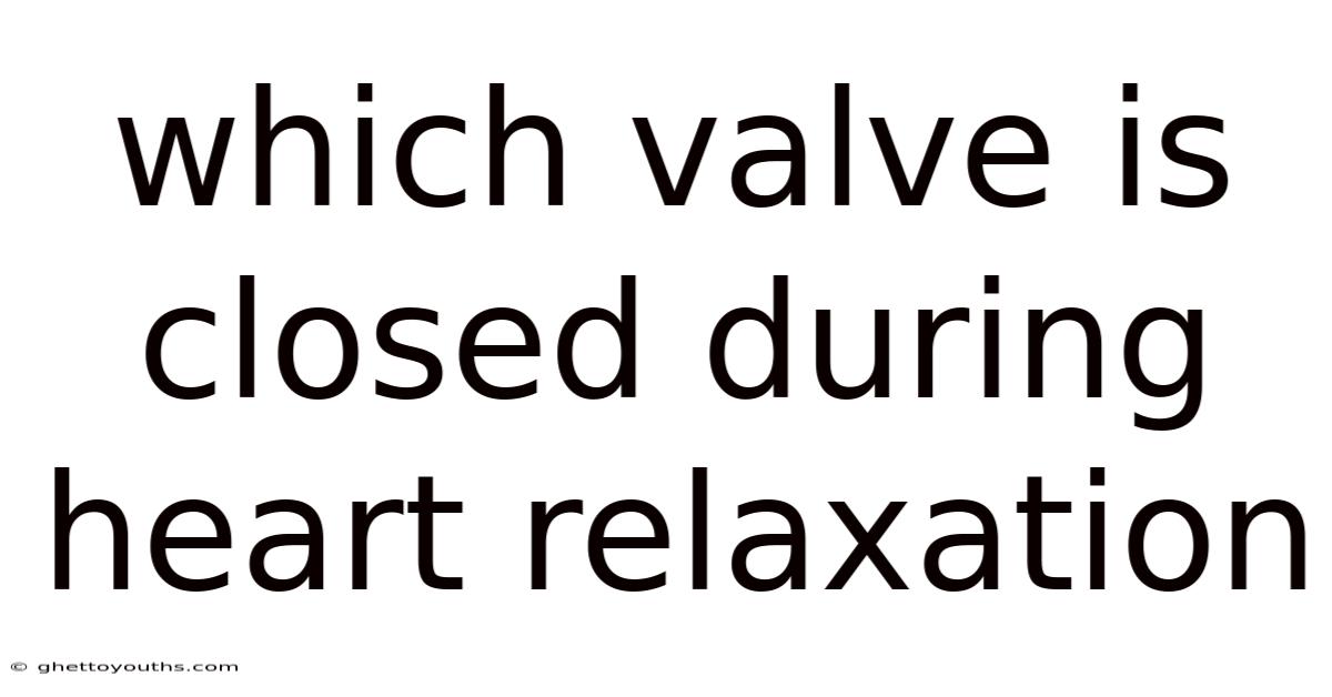 Which Valve Is Closed During Heart Relaxation