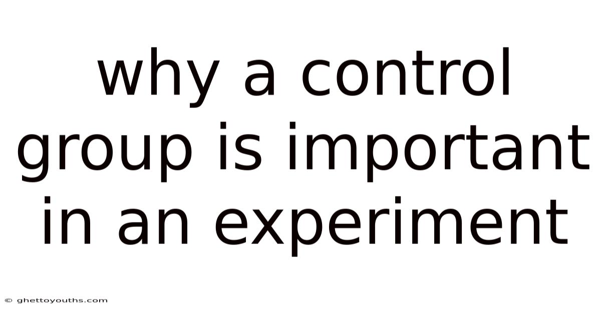 Why A Control Group Is Important In An Experiment