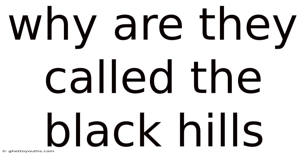Why Are They Called The Black Hills