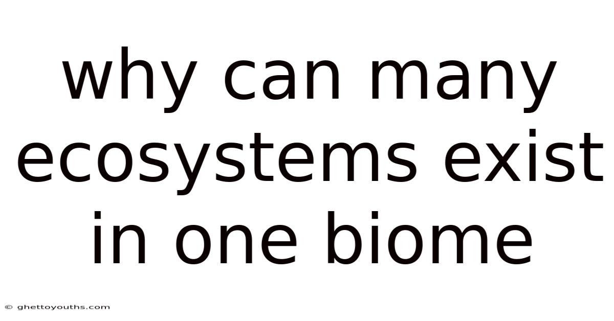 Why Can Many Ecosystems Exist In One Biome