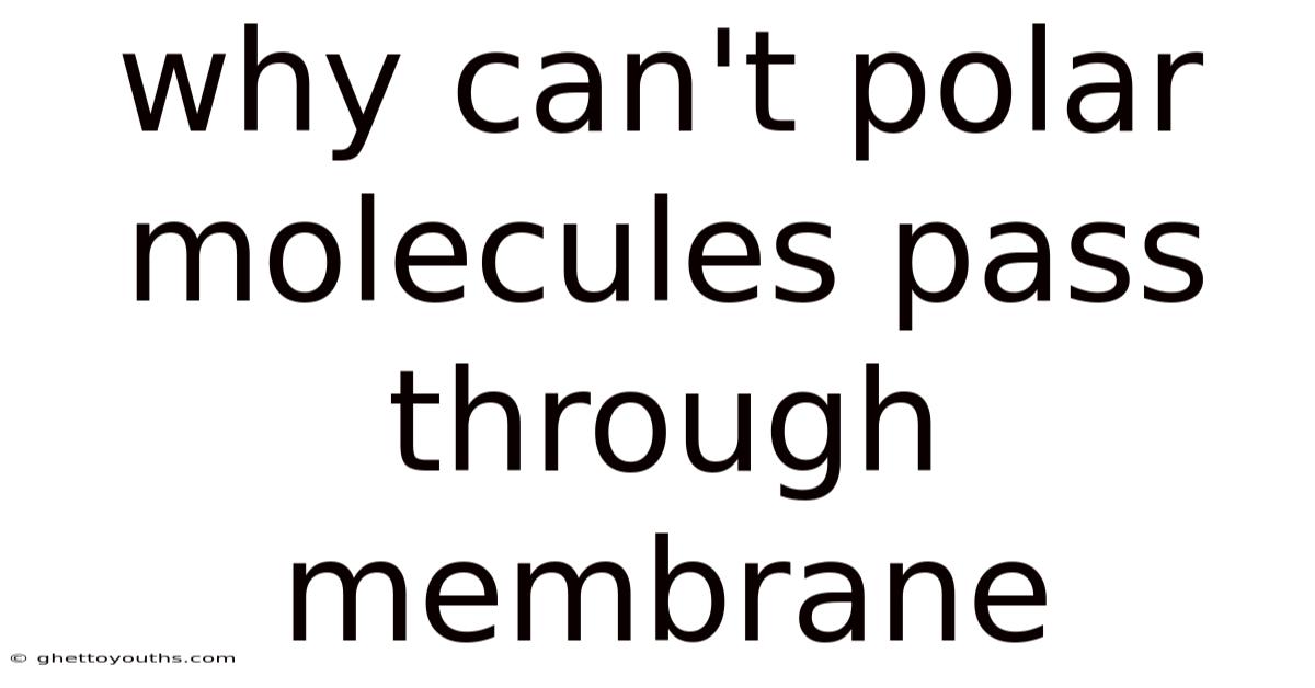 Why Can't Polar Molecules Pass Through Membrane