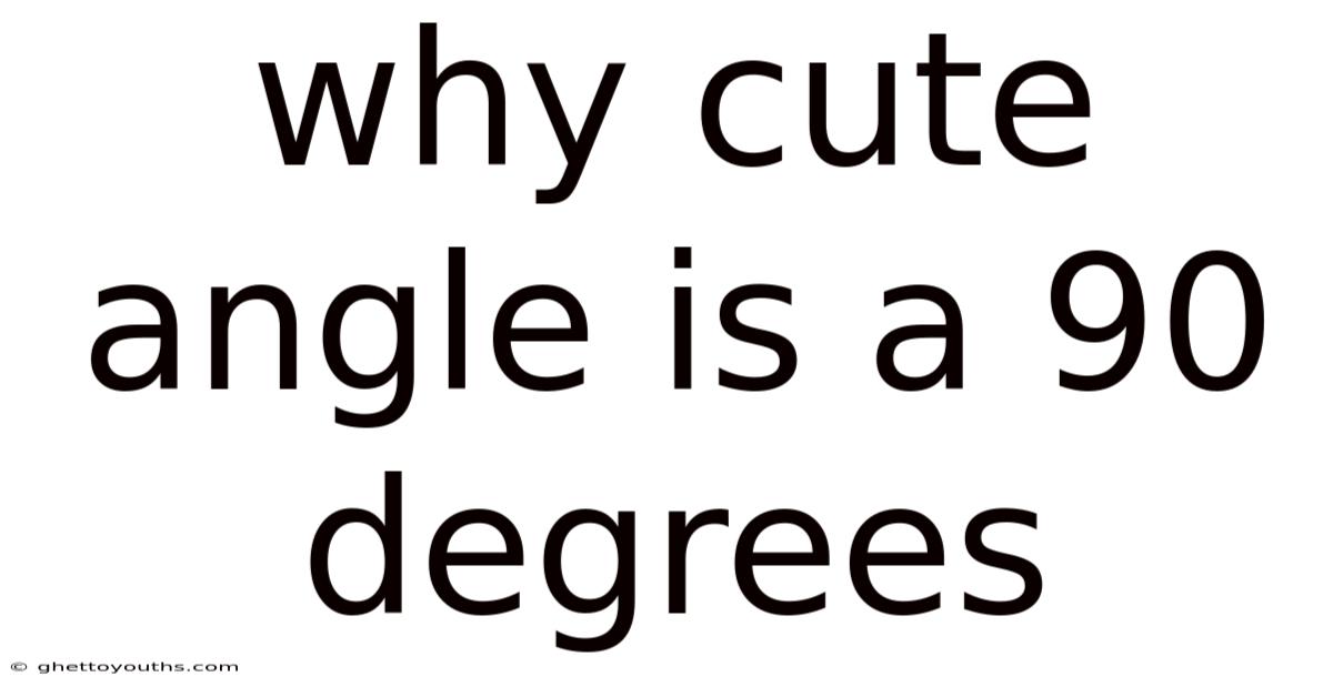 Why Cute Angle Is A 90 Degrees