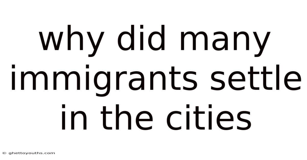 Why Did Many Immigrants Settle In The Cities