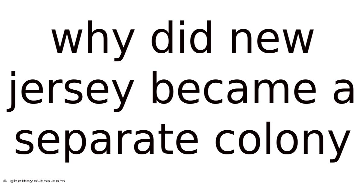 Why Did New Jersey Became A Separate Colony