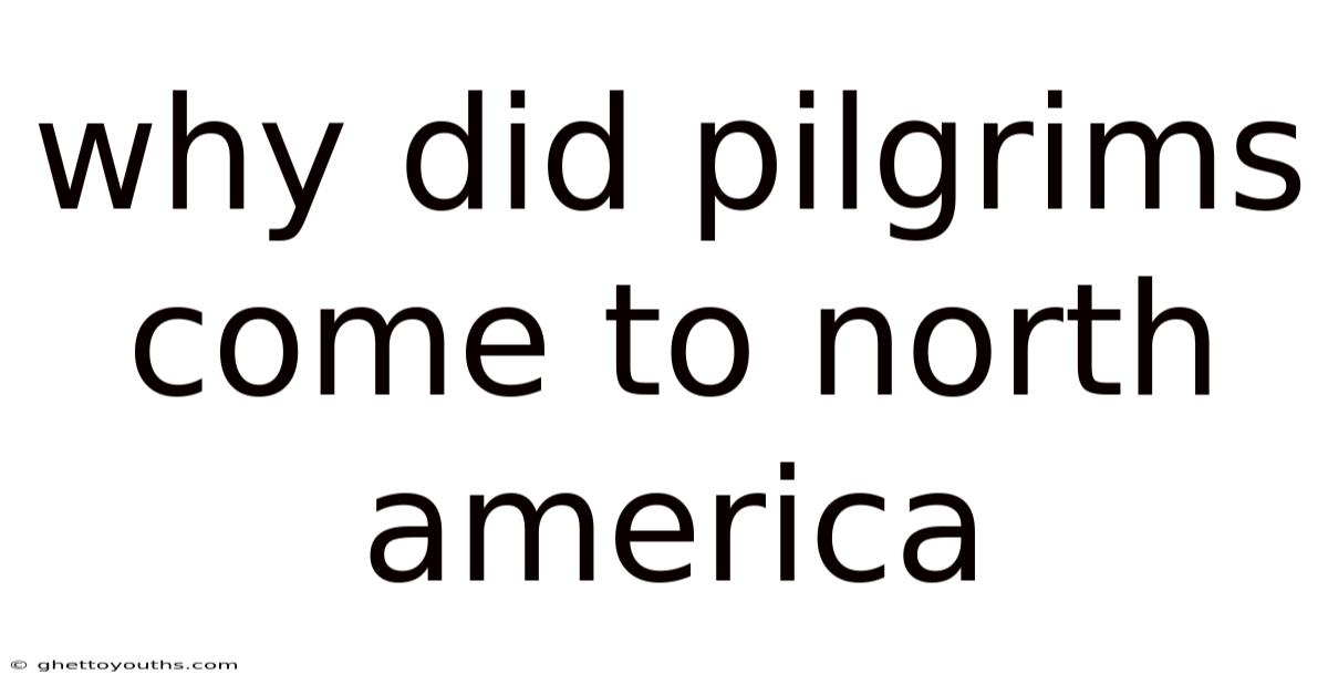 Why Did Pilgrims Come To North America