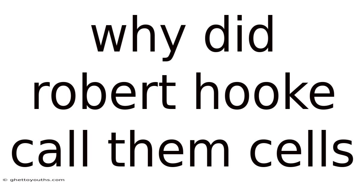 Why Did Robert Hooke Call Them Cells