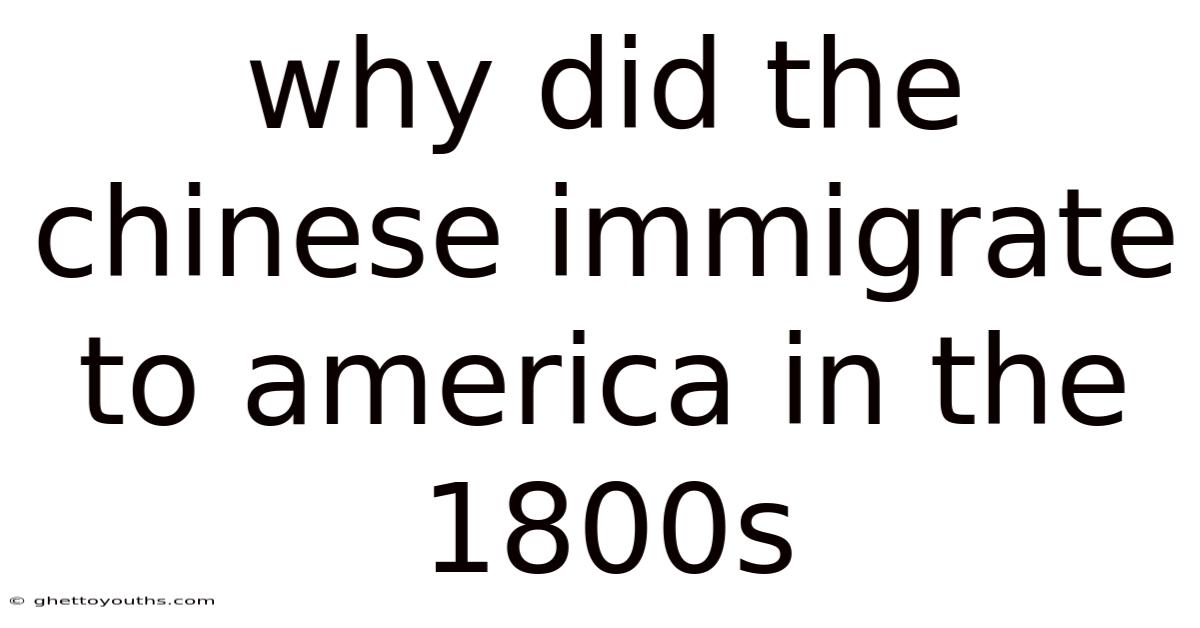 Why Did The Chinese Immigrate To America In The 1800s