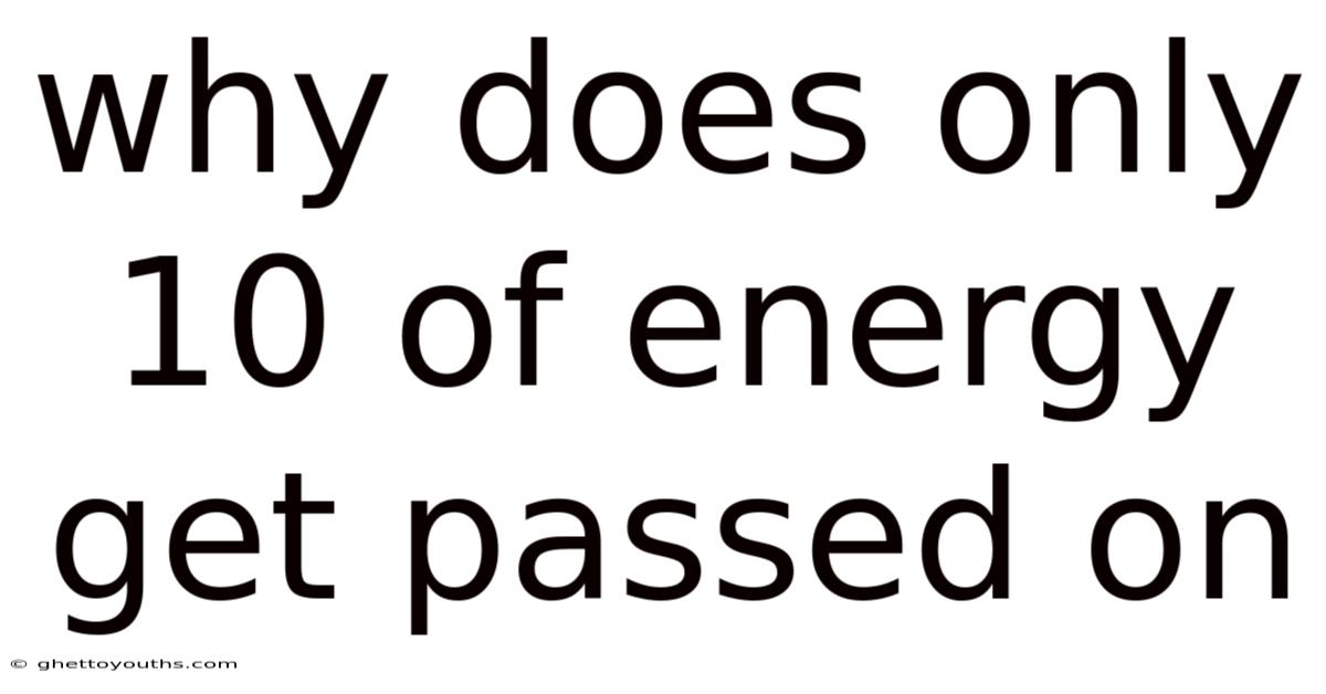 Why Does Only 10 Of Energy Get Passed On