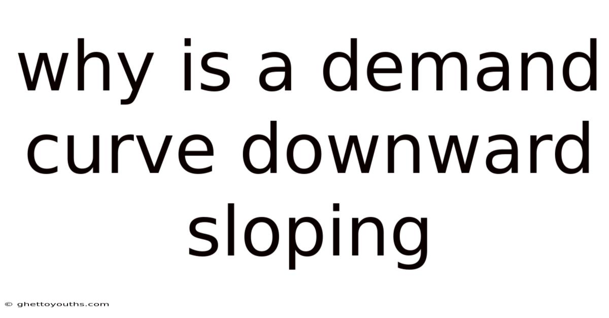Why Is A Demand Curve Downward Sloping