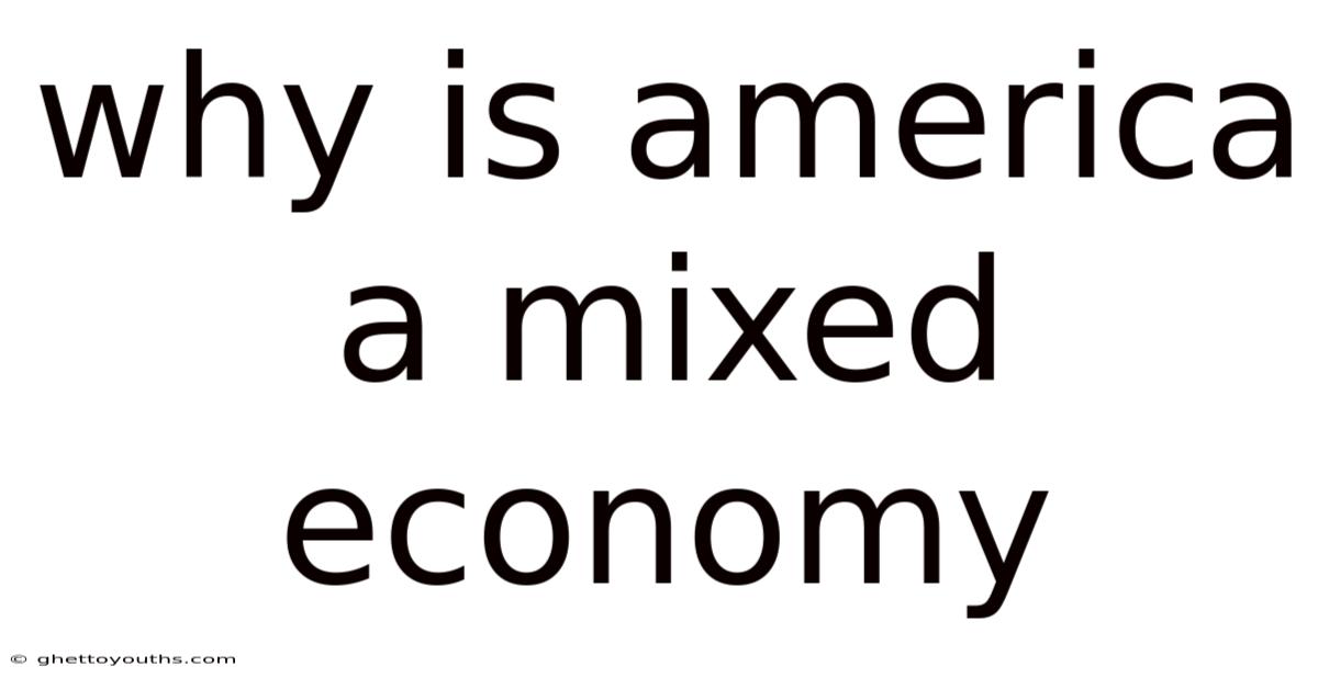 Why Is America A Mixed Economy