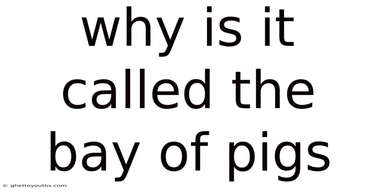Why Is It Called The Bay Of Pigs